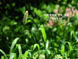 conew_img_6185副本