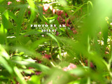 conew_img_6220副本
