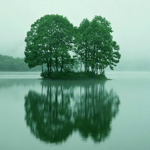 150549.29752075_500.jpg