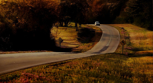 蒂莫西的奇异生活-世界上最丑陋的女人\/扎克瑞·戈登\/艾丽·范宁\/蒂莫西的奇异生活结局\/cj·亚当斯