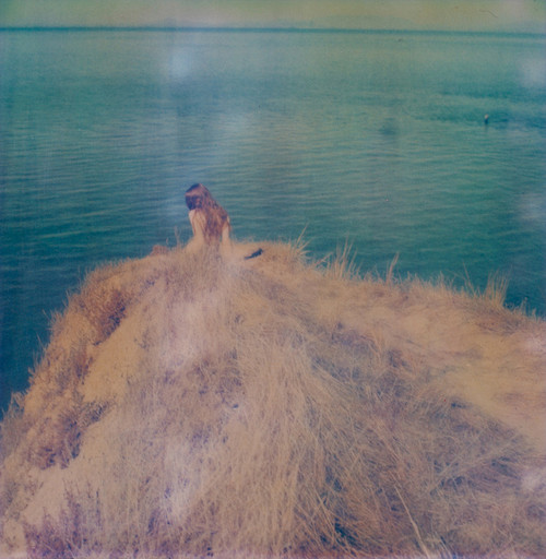 晚安 <em>再见</em> 我的<em>姑娘</em> o<em></em>nlY PhotoGraPhY <em>电影</em>