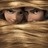 shankedonghua
