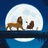 pittlove
