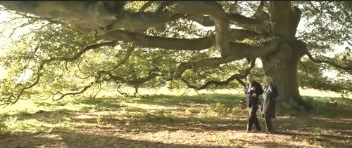 四重唱 Quartet – 《四重唱》影评