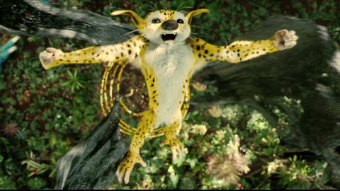 《追踪长尾豹马修 Sur la piste du Marsupilami》(2012):让你一场下来在温情下、冒险中搞笑,搞笑之余思考,是一部难得的合家欢喜剧。 情迷好莱坞 电影