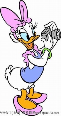 和米妮相对应的,黛丝鸭子(daisy duck)就是唐老鸭的女朋友.