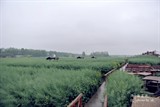 conew_dsc_3388