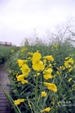 conew_dsc_3394