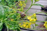 conew_dsc_3426