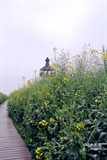 conew_dsc_3428