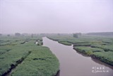 conew_dsc_3441