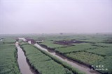 conew_dsc_3442
