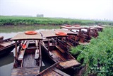 conew_dsc_3447