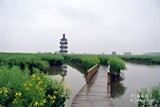 conew_dsc_3455