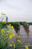 conew_dsc_3460