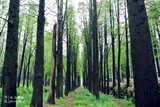 conew_dsc_3498