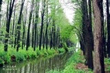 conew_dsc_3499