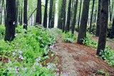 conew_dsc_3515