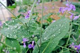 conew_dsc_3557