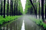 conew_dsc_3577
