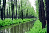 conew_dsc_3585
