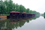 conew_dsc_3605
