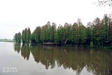 conew_dsc_3643