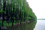 conew_dsc_3648