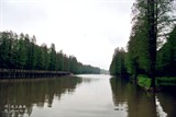 conew_dsc_3649