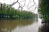 conew_dsc_3662
