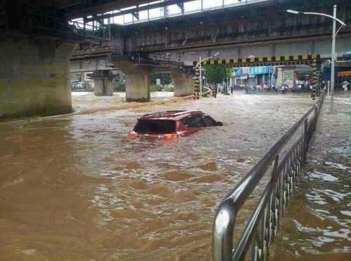 大片,但今天我们的主角不是它,而是前天深圳的