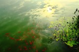 QQ截图20140706222431