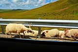 conew_dsc_4863