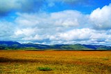 conew_dsc_5041