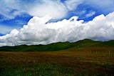 conew_dsc_5123
