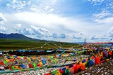 conew_dsc_5195
