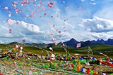 conew_dsc_5197