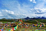 conew_dsc_5200副本