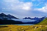 conew_dsc_5313副本