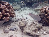 DSCF7998