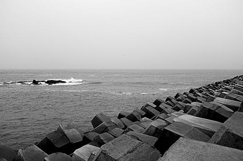 DSCF6292