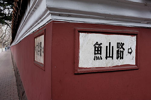 DSCF6334