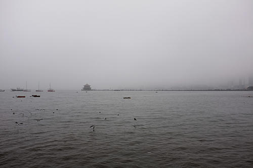 DSCF6354